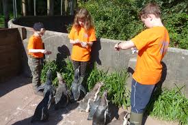 Zookeeper For A Day Feeding Experience Days South Lakes Safari Zoo
