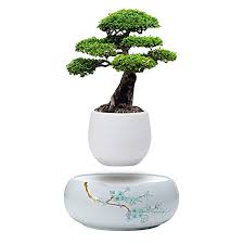 Active Gear Guy Levitating Mini Plant Pot With Japanese Style Design For Flowers Or Bonsai Magnetic Levitation Creat In 2020 Mini Plant Pots Mini Plants Potted Plants