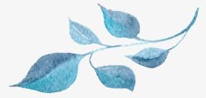 This dusty blue floral watercolor clipart set is perfect for stationery designs, logo, branding, planner stickers, scrapbooking, sublimation prints, and more! Watercolor Flowers Png Png Images Png Cliparts Free Download On Seekpng