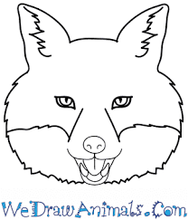 This will give us a diamond shape, practice these steps until drawing the diamond shape feels natural and you don't have to draw the initial shapes. How To Draw A Fox Face