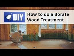 Boracare Is A Borate Based Product For Prevention And Control Of Termites Carpenter Ants Powderpost Beetles Termite Control Wood Treatment Termite Treatment
