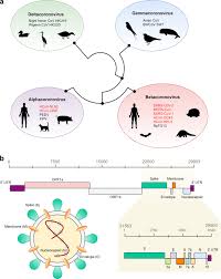 Individuals businesses and employers tax practitioners customs and excise what's my tax number? What Is A Confirmation Letter From Sars