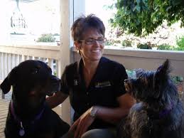 Sensible and effective dog training and puppy training in seattle, shoreline, and surrounding areas at your home and in the real world. Bark Busters Home Dog Training North Seattle 29 Photos 29 Reviews Pet Training Seattle Wa United States Phone Number