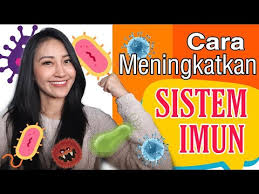 Peralihan musim ini tidak hanya mempengaruhi. Cara Meningkatkan Sistem Imun Tubuh Belajardirumah Clarin Hayes Youtube