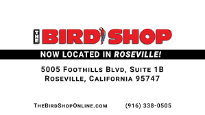 And they rely on us for their very well being. Veterinarians Clubs The Bird Shop