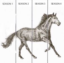 Finished Horse Drawing Blank Template Imgflip