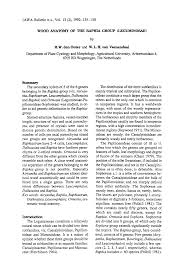 Image result for Baphia bequaertii