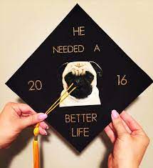 Graduation Cap Graduation Pugs College College Graduation Cap Graduation Cap Decoration Graduation Cap