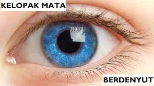 Alhamdulillah saya menemukan artikel ini.mata saya sebelah kiri berkedut sudah hampir 1 bulan. Kelopak Mata Berdenyut Denyut Youtube