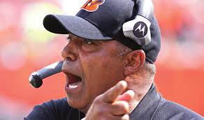 Rogers votes to add traffic cameras