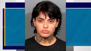 WATCH: Frantic deer crashes into Michigan lingerie store, causing chaos