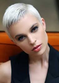 Very Short Grey Hairstyle Super Short Hair Short Hair Styles Short Grey Hair