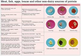 80 Page Guide On How To Feed Toddlers Includes Actual Size