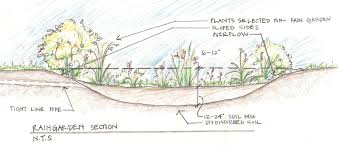 Rain Garden Rain Water Collection System Rain Water Collection Rain Garden