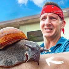 Wholesale available, South trinidad. Call 7077396 Posting for someone. Just  call or text the number.