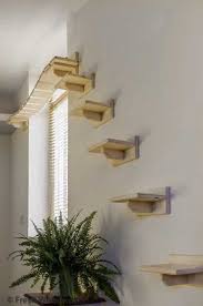 The Cats Adventure Bridge Will Give Your Cat A Lot Of Fun My Cat Loves To Lie On It To Get Some Sunshine Cats C Cat Trees Diy Easy Diy Cat