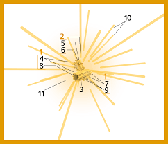 A cell wall that contains chitin less compartmentation between cells; Centriole Wikipedia