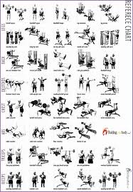 Bodybuilding Exercises Chart For Men 962660hfukhf Best Of