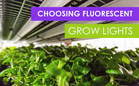 It depends on the different types of plants and flowers you choose to have. How To Choose Fluorescent Grow Lights For Your Farm Upstart University