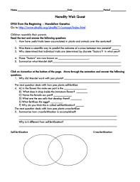 Cells therefore possess a number of mechanisms to detect and repair damaged dna. Fillable Online Heredity Webquest Worksheet Answer Key Dr Suhair Al Saad Fax Email Print Pdffiller