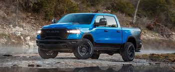 Image result for Power Tan 2025 Ram