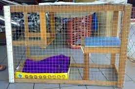 Situs properti rumah123.com akan menjelaskan bagaimana cara merawat anak kucing tanpa induk. Gambar Kandang Cara Membuat Kandang Kucing Sederhana Beserta Contoh Gambarnya Fur Babies Pet Care Pets