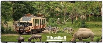 Kalau sebelum ini harga tiket masuk ke zoo negara tidak termasuk dengan lawatan ke beruang panda dijual secara berasingan. Tiket Bali Safari 2021 Cek Harga Promo New Normal Disini