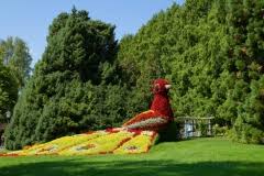 Übrigens mit ihrem zoobesuch unterstützen sie freilandprojekte, denn pro verkaufter einzelkarte ³ gehen 1 euro und pro verkaufter jahreskarte ³ 5 euro in den naturschutzfonds des augsburger zoos. Botanischer Garten Augsburg Das Gibt Es Hier Zu Sehen
