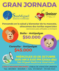 San Miguel Vet Centro Veterinario