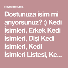 dostunuza isim mi ariyorsunuz kedi isimleri erkek kedi isimleri disi kedi isimleri kedi isimleri listesi kedi isimleri sozlug kedi dis guzel kediler