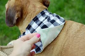 If you love cats and diy projects, making a homemade cat collar will be a fun activity! Easy Diy Reversible Dog Bandana Sewing Pattern Design Fixation