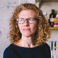 Stories: Students, Faculty, Staff and Alumni profiles