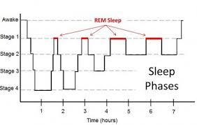 sleep cycle poe center for health education poe center