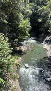 Explore the Blue Gum Trail and Waterfalls