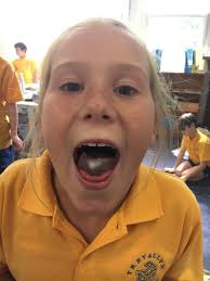 This week we welcomed Brock Rush and Jake Gardiner to our school. We are  delighted to have you both and all your family join Tre