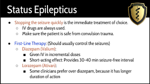 Image result for Status Epilepticus