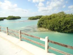 Check spelling or type a new query. File Manglar A Sian Ka An Jpg Wikipedia