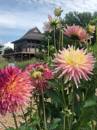 Hours may change under current circumstances Join Us At Central Gardens Of North Iowa In Clear Lake Iowa