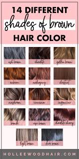 14 Different Shades Of Brown Hair Color 2020 Ultimate Guide Brown Hair Shades Brown Hair Colors Brown Hair Color Shades