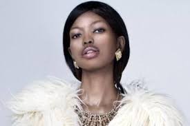 Zimbabwean in Miss Africa U.S. Finale