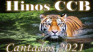 Este app , não possui vínculos nem é mantida pela congregação cristã no brasil. Ccb Hinos Cantados 2021 Youtube