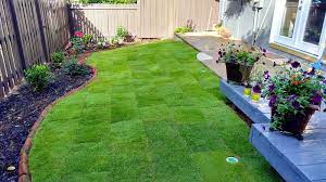 Check spelling or type a new query. Selecting The Right Sod Simply Sod