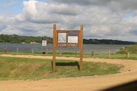 Coal Exploration Around Alberta Parks Raises Questions About Future  Recreation | Cbc News