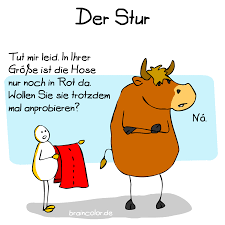Werfen wir indessen unseren blick darauf, was andere leute zu dem präparat zu sagen haben. Ich Bin Nicht Stur Ich Weiss Nur Was Ich Will Sternzeichen Stier Stier Sternzeichen Sternzeichen Stier