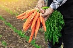 Image result