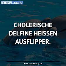 Die Besten 1 Delfin Spruche Auf Istdaslustig De
