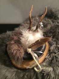 Rehgeweih Im Fell Rehgeweih Geweih Reh