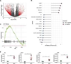 Maybe you would like to learn more about one of these? Requirement Of Dnmt1 To Orchestrate Epigenomic Reprogramming For Npm Alk Driven Lymphomagenesis Life Science Alliance