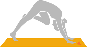 What Is Downward Facing Dog With Knee To Forehead Definition From Yogapedia