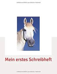 Lineaturen bei mercateo online kaufen zum expertenwissen. Amazon Com Mein Erstes Schreibheft Schreiblernheft Fur Schreibanfanger Extra Grosse Linienabstande Fur Erste Schreibubungen 1 Klasse Lineatur Mit Haus Fur Vorschule Oder 1 Klasse German Edition 9781798958698 Stern Klara Books